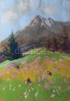 Polónyi Károly (1894-): Rózsahegy (Tátra). Pasztell, papír, jelzett. Dekoratív, üvegezett fakeretben...