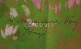 Polónyi Károly (1894-): Rózsahegy (Tátra). Pasztell, papír, jelzett. Dekoratív, üvegezett fakeretben...