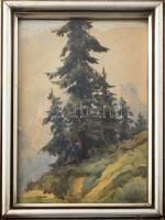 Olvashatatlan jelzéssel: Hegyvidéki táj. Akvarell, papír. 24,5x17,5 cm, üvegezett fakeretben.