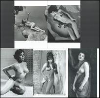 cca 1965 előtt készült, szolidan erotikus glamour felvételek tétele, 5 db modern nagyítás, jelzés nélkül, 15x10 cm