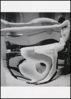 1933 André Kertész - korábban Kertész Andor (1894-1985) magyar - francia - amerikai fotóművész felvétele (Torzítások c. sorozatból a 42.sz.), 1 db modern nagyítás, jelzés nélkül, 21x15 cm