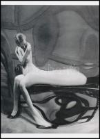 1933 André Kertész - korábban Kertész Andor (1894-1985) magyar - francia - amerikai fotóművész felvétele (Torzítások c. sorozatból a 78.sz.), 1 db modern nagyítás, jelzés nélkül, 21x15 cm