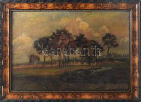 Sári jelzéssel: Táj, 1933. Olaj, vászon. 28,5×42 cm. Dekoratív, kissé sérült fakeretben.
