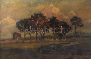 Sári jelzéssel: Táj, 1933. Olaj, vászon. 28,5×42 cm. Dekoratív, kissé sérült fakeretben