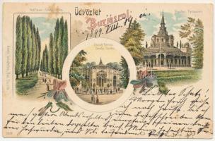 1899 Buziásfürdő, Baile Buzias; Árok fasor, Pavillon, étterem, József forrás. Armin Schatteles / Graben Allee, Pavillon Restaurant, Josefs-Quelle / promenade, spring source, restaurant, pavilion. Art Nouveau, floral, litho (EB)