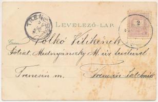 1899 Buziásfürdő, Baile Buzias; Árok fasor, Pavillon, étterem, József forrás. Armin Schatteles / Gra...