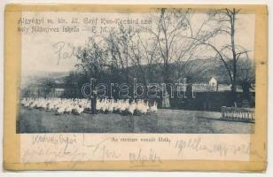 Algyógy, Geoagiul de jos, Geoagiu; Gróf Kun Kocsárd székely földmíves iskola. E.M.K.E. alapítás. Az etetésre vonuló libák / farmer school, geese, courtyard (b)