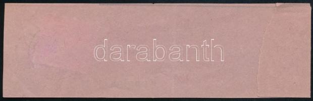 1895 Címszalag darab Hírlapbélyeggel "KAPOLCS" / Wrapper piece