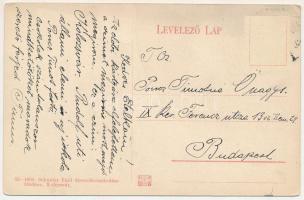 Kolozsvár, Cluj; Piac tér, Farkas J.,Vlad János üzlete. Schuster Emil kiadása / shops, market (EM)