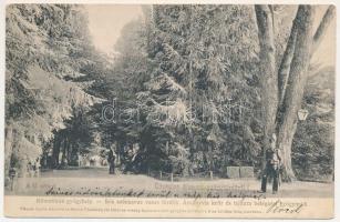 1904 Korond, Korondfürdő, Corund; A fő sétaút, darutollas csendőr. Klimatikus gyógyhely. Sós-, szénsavas-, vasas-fürdők; ásványvíz- és tejkúra; belégzési gyógymód. Gáspár Gyula tulajdonos / climatic spa, promenade, gendarme (EK)