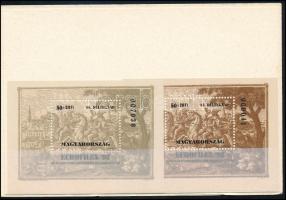 1992 Bélyegnap - Eurofilex blokk + ajándék blokk eredeti tokban / Mi block 221 + present of the post