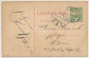 1908 Nagyenyed, Aiud; Közkórház. W. L. (?) No. 467. / hospital (ázott / wet damage)