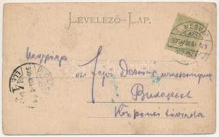 1905 Temesvár, Timisoara; Vadászerdő. Park az erdőőri szakiskola előtt. Mangold kiadása / park by th...