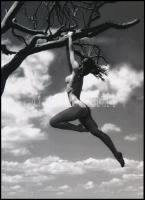 cca 1979 "Mint a mókus fenn a fán", szolidan erotikus felvétel, 1 db modern nagyítás, jelzés nélkül, 21x15 cm