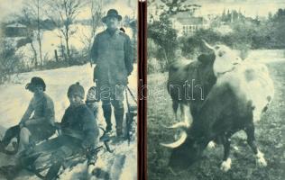 Orphanides János (1876-1939) fotóművész "Nagyítások II" című albuma, benne 68 darab klf té...