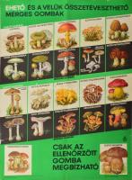 Pál György (1906-1986): Ehető és a velük összetéveszthető mérges gombák, 1970. Egészségügyi felvilágosító plakát, papír, jelzett a plakáton, Athenaeum Nyomda, hajtásnyommal, lapszéli kisebb sérülésekkel, 69x47,5 cm