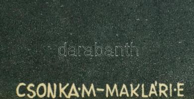 1965 Csonka Mária - Maklári Ernő: Tüdőszűrést idejében! Egészségügyi felvilágosító plakát, ofszet, p...