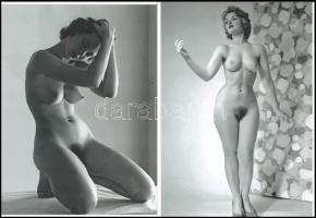 cca 1959 előtt készült, műtermi aktok, szolidan erotikus felvételek, 2 db modern nagyítás, jelzés nélkül, 21x15 cm