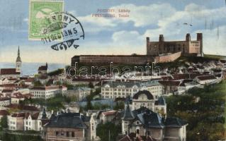 Pozsony with castle