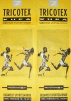 Fákó Árpád (1963-): Tricotex Kupa, Budapest Sportcsarnok, 1990. Nagyméretű plakát, papír, jelzett a plakáton, Offset és Játékkártya Nyomda, hajtva, lapszéli egészen apró szakadásokkal és gyűrődésekkel, 113,5x81 cm