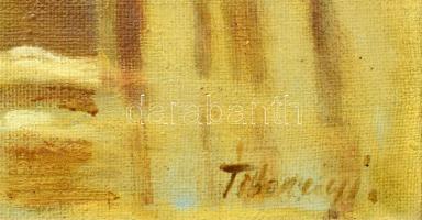 Tihanyi jelzéssel: Téli táj. Olaj, vászon. Dekoratív, sérült fakeretben. 70x100 cm