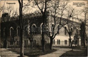 Temesvár, Timisoara; Hunyadi kastély, jelenleg tüzérségi raktár / castle, currently an artillery depot (ázott sarok / wet corner)
