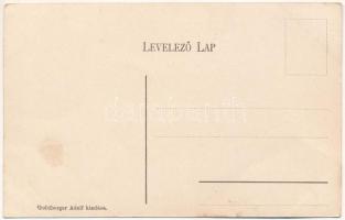 Félixfürdő, Baile Felix; hűtő fürdő. Goldberger Adolf kiadása / cooling spa (EK)