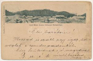 1902 Gelence, Ghelinta; Gróf Mikes Ármin gelenczei fűrésztelepe. Bogdán F. fényképész / sawmill (EM)