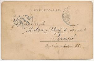 1902 Gelence, Ghelinta; Gróf Mikes Ármin gelenczei fűrésztelepe. Bogdán F. fényképész / sawmill (EM)