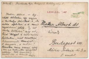 Felsőbánya, Baia Sprie; utca, Róth Mihály üzlete. Dacsek Péter kiadása / street view, shop (Rb)