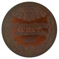 1879. "Székesfehérvári Országos Kiállítás 1879" bronz emlékérem (450mm) T:AU patina / Hung...