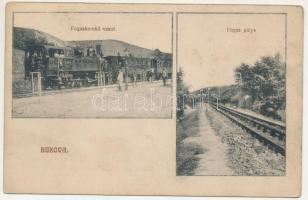 Bukova, Bucova (Banat); Fogaskerekű vasútállomás, Fogas pálya, gőzmozdony, vonat / cogwheel railway station, train, locomotive (fl)