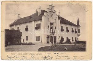 1906 Marosújvár, Uioara, Ocna Mures; Gróf Teleky (Teleki) kastély. Adler Alfréd fényképész / castle (b)