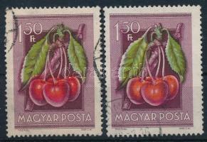 1954 Gyümölcsök 1,50Ft a piros balra felcsúszott és a zöld szín is felcsúszott + támpéldány