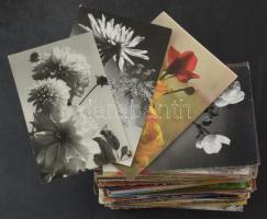 300 db MODERN üdvözlő képeslap kis dobozban / 300 modern greeting postcards in a small box