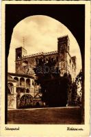 1951 Sárospatak, Rákóczi vár (fa)