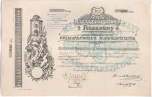 Románia / Kézdivásárhely 1924. "Kézdivásárhelyi Takarékpénztár" névre szóló részvénye 250L...