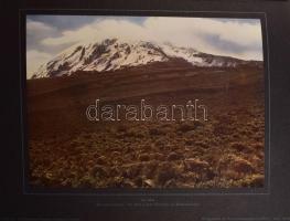 Die deutschen Kolonien. Herausgegeben von D. Kurd Schwabe und Dr. Paul Leutwein. Band II. Deutsch-Os...