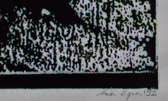 Haász Ágnes (1951-): Égi térkép, 1992. Elektrográfia, papír. Jelzett. Művészpéldány E.A. II/V számoz...