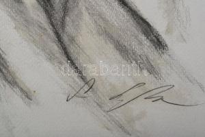 Sass Szilvia (1951-): Rost Andrea énekesnő portréja. Ceruza, papír. Jelzett. 45,5x30,5 cm