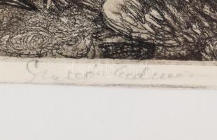 Szabó Vladimír (1905-1991): A hajdani Hortobágyon. Rézkarc, papír, jelzett, üvegezett fakeretben, 13...