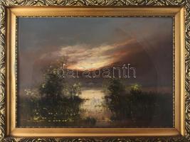 Mesterházy Dénes (1900-1949 körül): Táj gólyákkal. Olaj, karton, jelzett. Dekoratív, üvegezett fakeretben, 47×65 cm