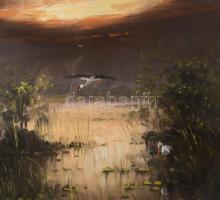 Mesterházy Dénes (1900-1949 körül): Táj gólyákkal. Olaj, karton, jelzett. Dekoratív, üvegezett faker...