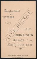 cca 1875 Fiatal hölgy portréja, vizitkártya Fleck Rudolf budapesti műterméből, alja vágott, 10x6 cm ...
