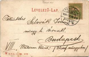 1904 Temesvár, Timisoara; K.u.k. Infanterie Cadettenschule / katonai hadapródiskola / military cadet...