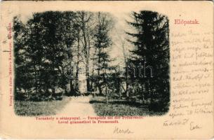 1903 Előpatak, Valcele; Tornahely a sétánnyal / Turnplatz bei der Promenade. Julius Müller's Nachfolger / outdoor gym (EB)