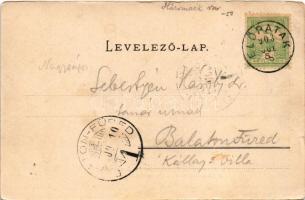 1903 Előpatak, Valcele; Tornahely a sétánnyal / Turnplatz bei der Promenade. Julius Müller's Na...