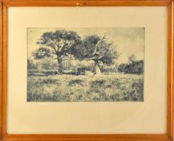 Csergezán Pál (1924-1996): Réten. Rézkarc, papír, jelzett. Üvegezett fakeretben, 22,5×36 cm