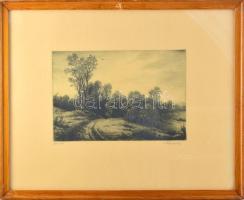 Paulovits Pál (1892-1975): Őszi este. Rézkarc, papír, jelzett. Üvegezett fakeretben, 19×29 cm