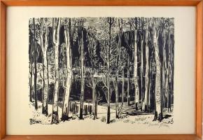 Bordás Ferenc (1911-1982): Vízparti táj. Linómetszet, papír. Jelzett. 32x44 cm. Üvegezett fakeretben.